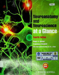 Neuroanatomy and Neuroscience at a Glance