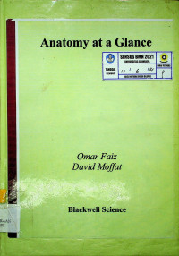 Anatomy at a Glance
