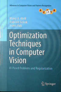 Optimization Techniques in Computer Vision