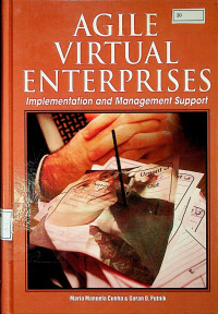 AGILE VIRTUAL ENTERPRISES : Implementasi and Management Support