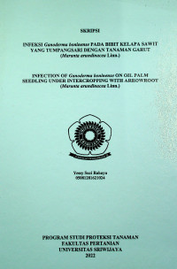 INFEKSI Ganoderma boninense PADA BIBIT KELAPA SAWIT YANG TUMPANGSARI DENGAN TANAMAN GARUT ( Maranta arundinacea Linn.)