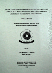 INSTANCE SEGMENTATION SAMBUNGAN SKUAMO KOLUMNAR DAN LESI PADA DATA INSPEKSI VISUAL ASAM ASETAT MENGGUNAKAN MASK REGION CONVOLUTIONAL NEURAL