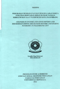 PERUBAHAN PENDAPATAN DAN PENGELUARAN SERTA STRATEGI BERTAHAN HIDUP RUMAH TANGGA SEBELUM DAN SAAT PANDEMI DI KOTA PALEMBANG