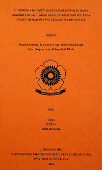 UJI KINERJA DAN KETAHANAN MEMBRANE ELECTRODE ASSEMBLY DENGAN KATALIS PT-RU/C DAN PT/C PADA DIRECT METHANOL FUEL CELL (DMFC) MULTISTACK