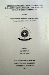 DETEKSI PENYAKIT DIABETIC RETINOPATHY PADA CITRA RETINA MENGUNAKAN RETINANET DENGAN BACKBONE RESNET 101