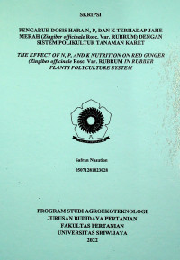 PENGARUH DOSIS HARA N, P, DAN K TERHADAP JAHE MERAH (Zingiber officinale Rosc. Var. RUBRUM) DENGAN SISTEM POLIKULTUR TANAMAN KARET