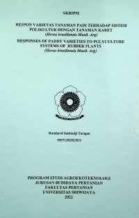 RESPON VARIETAS TANAMAN PADI TERHADAP SISTEM POLIKULTUR DENGAN TANAMAN KARET (Hevea brasiliensis Muell. Arg)