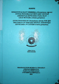 EFEKTIVITAS DAUN MERDEKA (Chromolaena odorata) UNTUK PENGOBATAN PENYAKIT MOTILE AEROMONAS SEPTICEMIA PADA IKAN LELE MUTIARA (Clarias gariepinus).