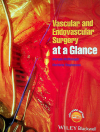 Vascular and Endovascular Surgery at a Glance