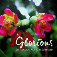 Glorious Landscape Plants in Selangor