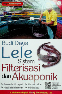 Budi Daya Lele Sistem Filterisasi dan Akuaponik