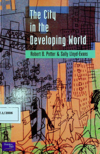 The City in the Developing World