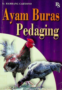 Ayam Buras Pedaging