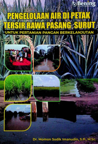 PENGELOLAAN AIR DI PETAK TERSIR RAWA PASANG SURUT UNTUK PERTANIAN PANGAN BERKELANJUTAN