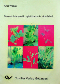 Towards Interspecific Hybridization in Vicia faba L.