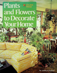 Plants and Flowers to Decorate Your Home