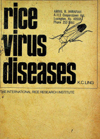 Rice virus diseases