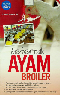 Beternak AYAM BROILER