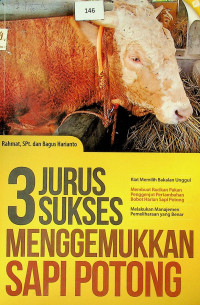 3 JURUS SUKSES MENGGEMUKAN SAPI POTONG