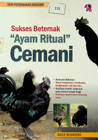 Sukses Beternak ‘Ayam Ritual’ Cemani