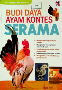 BUDI DAYA AYAM KONTES SERAMA