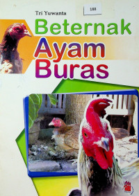 Beternak Ayam Buras