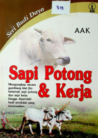 Sapi Potong & Kerja