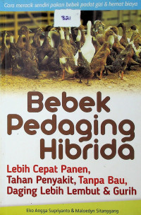 Bebek Pedaging Hibrida: Lebih Cepat Panen, Tahan Penyakit, Tanpa Bau, Daging Lebih Lembut & Gurih