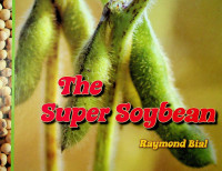 The Super Soybean