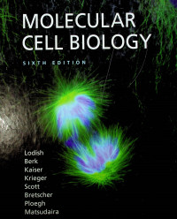 MOLECULAR CELL BIOLOGY, SIXTH EDITION