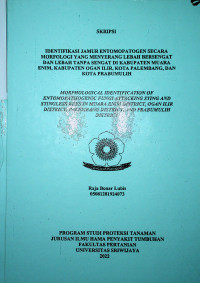 IDENTIFIKASI JAMUR ENTOMOPATOGEN SECARA MORFOLOGI YANG MENYERANG LEBAH BERSENGAT DAN LEBAH TANPA SENGAT DI KABUPATEN MUARA ENIM, KABUPATEN OGAN ILIR, KOTA PALEMBANG, DAN KOTA PRABUMULIH.