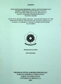 PENGARUH DOSIS HERBISIDA METIL METSULFURON DAN DIURON TERHADAP PERTUMBUHAN GULMA DAN TANAMAN TEBU (Saccharum officinarum L.) RATUN 1 DI KEBUN PRODUKSI RAYON 4 PG CINTA MANIS