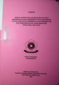 PERAN AKTOR DALAM MENANGGULANGI KEKERASAN PADA PEREMPUAN DALAM RUMAH TANGGA DI DINAS PEMBERDAYAAN PEREMPUAN DAN PERLINDUNGAN ANAK PROVINSI SUMATERA SELATAN