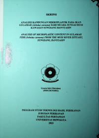 ANALISIS KANDUNGAN MIKROPLASTIK PADA IKAN GULAMAH (Johnius carouna) DARI MUARA SUNGAI MUSI KAWASAN SUNGSANG BANYUASIN