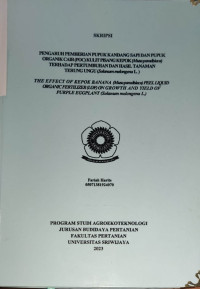 PENGARUH PEMBERIAN PUPUK KANDANG SAPI DAN PUPUK ORGANIK CAIR (POC) KULIT PISANG KEPOK (Musa paradisiaca) TERHADAP PERTUMBUHAN DAN HASIL TANAMAN TERUNG UNGU (Solanum melongena L.)