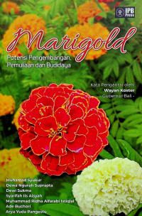 Marigold Potensi Pengembangan, Pemuliaan dan Budidaya