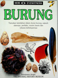 BURUNG: Temukan keindahan dalam dunia burung, sejarah alamnya, perilaku, musim kawin dan rahasia kehidupannya