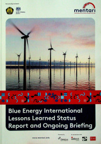 Blue Energy International Lessons Learned Status Report and Ongoing Briefing