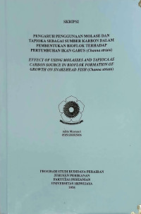 PENGARUH PENGGUNAAN MOLASE DAN TAPIOKA SEBAGAI SUMBER KARBON DALAM PEMBENTUKAN BIOFLOK TERHADAP PERTUMBUHAN IKAN GABUS (Channa striata)