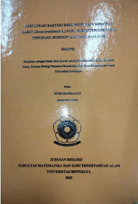 EKSPLORASI BAKTERI RHIZOSFER DARI TANAMAN KARET (Hevea brasiliensis L.) YANG BERPOTENSI SEBAGAI PENGHASIL HORMON IAA (Indole Acetic Acid)