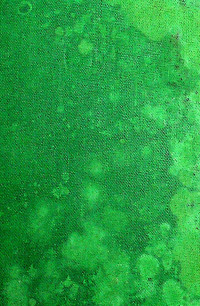 Bacteria and Plants