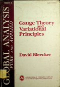 Gauge Theory and Variational Principles