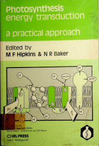 Photosynthesis energy transduction: a pratical approach