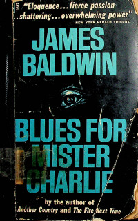 BLUES FOR MISTER CHARLIE