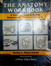 THE ANATOMY WORKBOOK: A Coloring Book of Human Regional and Sectional Anatomy