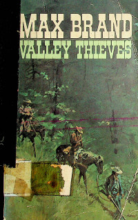 VALLEY THIEVES