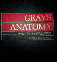 GRAY'S ANATOMY