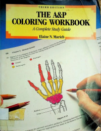 THE A&P COLORING WORKBOOK: A Complete Study Guide, THIRD EDITION