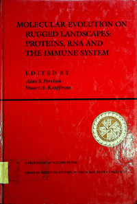 MOLECULAR EVOLUTION ON RUGGED LANDSCAPES: PROTEINS, RNA AND THE IMMUNE SYSTEM