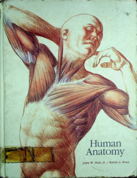 Human Anatomy